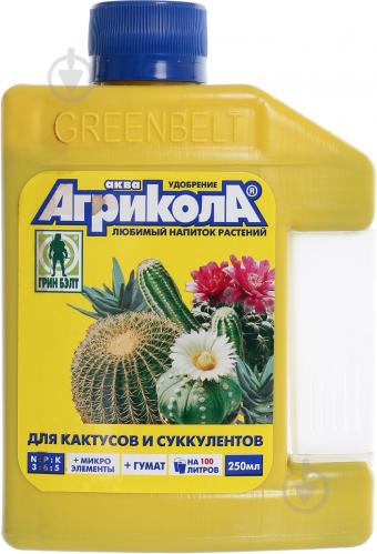 Когда выполнять посадку клубней георгин весной в открытый грунт Выращивание и уход за георгинами. Виды георгин