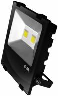 Прожектор Eurolamp з радіатором 100 Вт IP65 чорний LED-FLR-COB-100