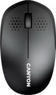 Мышка беспроводная Canyon MW-04 black (CNS-CMSW04B)