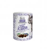 Лакомство Brit Care Superfruits Kitten с курицей, кокосом и черникой 100 г