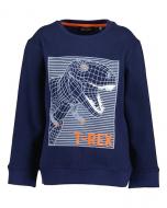 Реглан для мальчика Blue Seven трикотажный Дино р.110 ультрамарин 864701 X*
