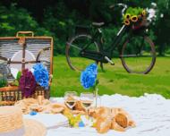 Картина по номерам Пикник в парке 40x50 см GX38490 Brushme