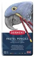 Набор карандашей Pastel 12 шт. Derwent