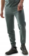Брюки 4F 4FRSS24TTROM1036-43S р. M зеленый