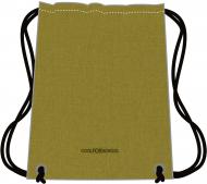 Сумка для обуви 41х33 см желто-зеленая CF85758-31 Cool For School