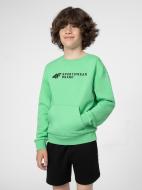 Джемпер 4F 4FJSS23TSWSM222-45S р. 128 зеленый Джемпер 4F 4FJSS23TSWSM222-45S р. 128 зеленый