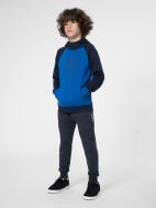 Брюки 4F 4FJSS23TTROM132-31S р. 140 синий