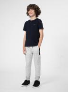 Брюки 4F 4FJSS23TTROM132-27M р. 122 серый