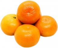 Мандарин Туреччина Мандарин Туреччина