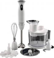 Блендер заглибний Russell Hobbs 21500-56