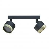 Спот ELM Forte 2x15 Вт GX53 черный с золотым 23-0010