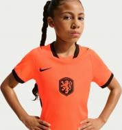 Футболка Nike KNVB Y NK DF JSY SS STAD HM IB5165-809 р.XS разноцветный