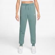 Брюки Nike W NSW PHNX FLC MR PANT STD FZ7626-017 р. XL зеленый Брюки Nike W NSW PHNX FLC MR PANT STD FZ7626-017 р. XL зеленый