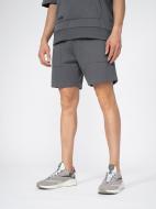 Шорты 4F 4FSS23TSHOM074-22S р. 2XL серый