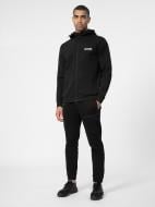 Брюки 4F 4FSS23TTROM139-20S р. 2XL черный Брюки 4F 4FSS23TTROM139-20S р. 2XL черный