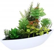 Растение искусственное суккулент в белом пластиковом горшке 25х17 см. Sensio