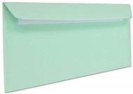 Конверт E65 110х220 (КУ2140_100)