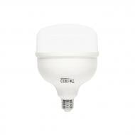 Лампа світлодіодна HOROZ ELECTRIC TORCH NOVO-40 40 Вт T100 E27 220 В 6400 К 001-093-0040-030