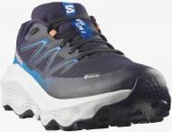 Кроссовки мужские Salomon ULTRA FLOW 2 GTX L49299300 р.45 1/3 черные