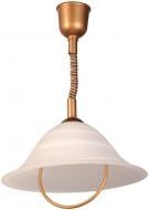 ВИТРИНА! Подвес Геотон НСБ 01-60-099 СК-3 1x/E27 бронзовый 03.0008.6