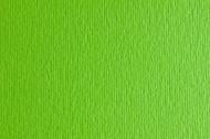 Бумага для дизайна Fabriano №10 verde picello, салатовый А3 Elle Erre
