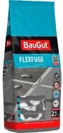 Затірка для плитки BauGut FLEXFUGE 111 2 кг сріблясто-сірий