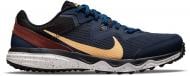 Кроссовки мужские демисезонные Nike JUNIPER TRAIL CW3808-401 р.40,5 синие