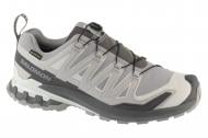 Кроссовки мужские Salomon XA PRO 3D V9 GTX L49199100 р.44 серые