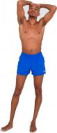 Шорты Speedo Retro 13" Watershort 8-12436A369 р. L голубой