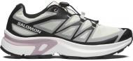 Кроссовки Salomon XT-EVR W L45414800 р.38 зеленый