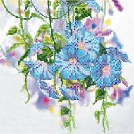 Схема для вышивания бисером на художественном холсте Вьюнок AC-557 200x200 мм Абрис Арт