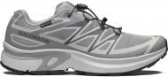 Кроссовки Salomon XT-EVR GTX M L49143800 р.47 1/3 серый