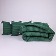 Набор №1052 Сolor Fun Line 17-0612 Stripe Emerald Silk зима 200x220 см MirSon зеленый