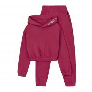 Спортивний костюм Z16 р.134 малиновий К3ДВ146_5-80