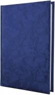 Дневник недатированный синий линия Economix Galaxy A5 E21713-02