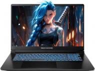 Ноутбук DM RG5050-17 17,3" (RG5050-17UA32) black