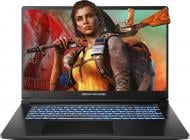 Ноутбук DM RT5060-17 17,3" (RT5060-17UA28) black