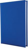 Дневник недатированный синий линия Economix Capis A5 E21720-02