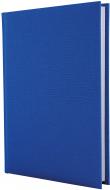 Дневник недатированный синий линия Economix Capys A6 E21730-02