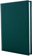 Дневник недатированный зеленый линия Economix Capys A6 E21730-49