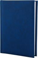 Дневник недатированный синий линия Economix Algora A6 E21736-02