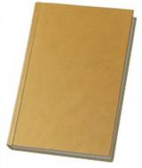 Дневник недатированный бежевый линия Economix Algora A6 E21736-66