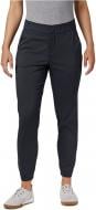 Брюки Columbia Firewood Camp II 1885343-010 р. L черный