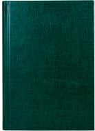 Дневник датированный зеленый линия Economix Basic A5 2021 E21813-04