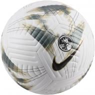 Футбольний м'яч Nike PREMIER LEAGUE ACADEMY FB2985-106 р.5