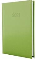 Дневник датированный фисташковый линия Economix Flash A6 2021 E21826-67