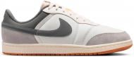 Кроссовки мужские Nike Air Skyline Low LE IQ6425-100 р.44,5 разноцветные