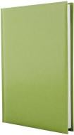 Дневник недатированный фисташковый клетка Economix Flash A5 E22003-67