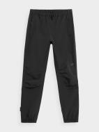 Брюки 4F 4FSS23TFTRF120-20S р. XL черный