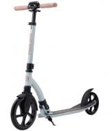 Самокат Miqilong Beagle серебряный BEAGLE-200-OLIVE